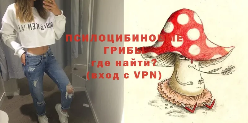 купить закладку  omg как зайти  Галлюциногенные грибы Magic Shrooms  Богданович 